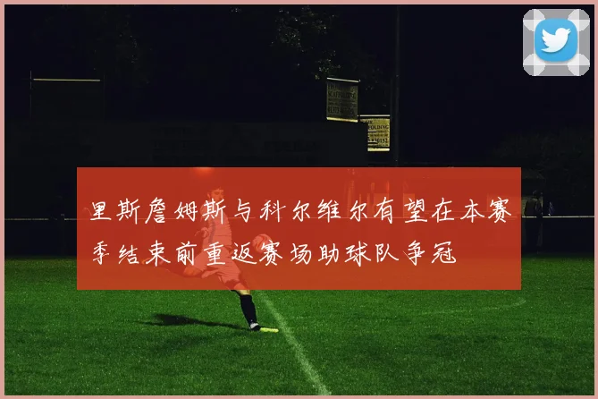 里斯詹姆斯与科尔维尔有望在本赛季结束前重返赛场助球队争冠