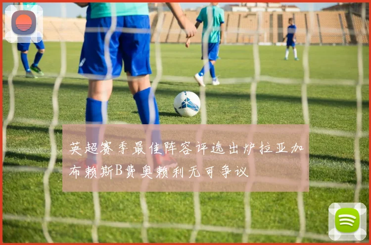 英超赛季最佳阵容评选出炉拉亚加布赖斯B费奥赖利无可争议