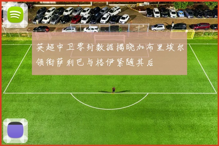 英超中卫零封数据揭晓加布里埃尔领衔萨利巴与格伊紧随其后